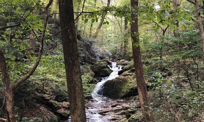 Airville RV Rental | 100+ Beds - 100 Friends - 32+ Acres bordering preserved Forest Park and Trails