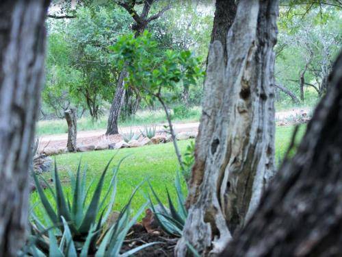 Hectorspruit Hotel | 110 m² Hotel ∙ 3 bedrooms ∙ 6 guests