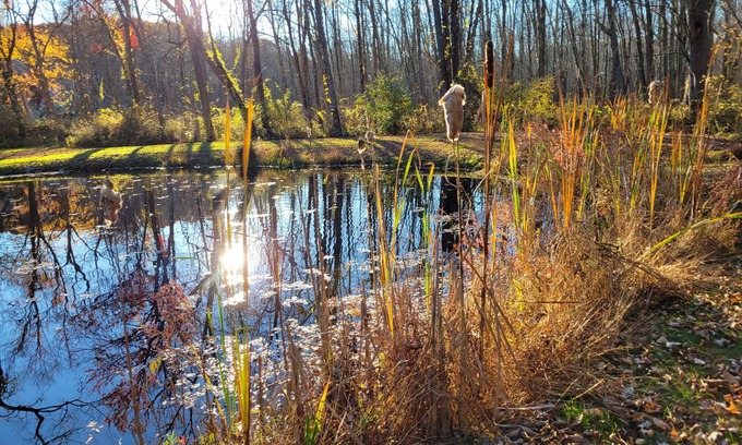 Rhinebeck Cottage | 15% off; private pond; fireplace; 4-min to village