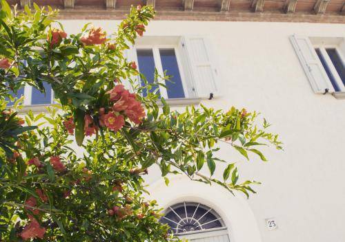 Montegiardino House | 150 m² House ∙ 3 bedrooms ∙ 5 guests
