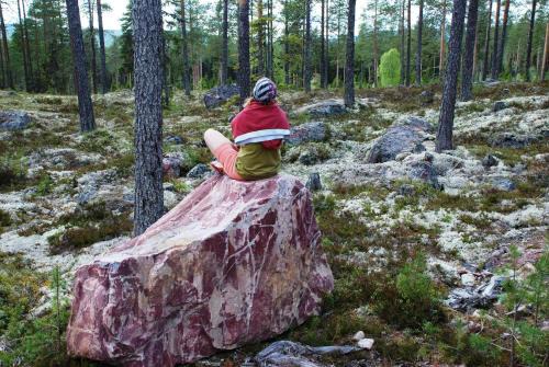 Ljordal Apartment | 16 - Fulufjellets nasjonalparker - Natur-, dyre- og fugleopplevelser