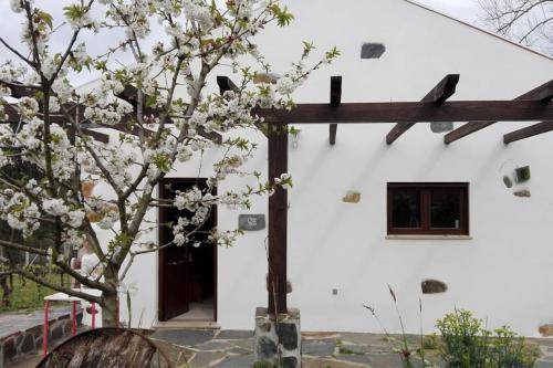 Figueira de Lorvao House | 16 m² House ∙ 2 bedrooms ∙ 4 guests