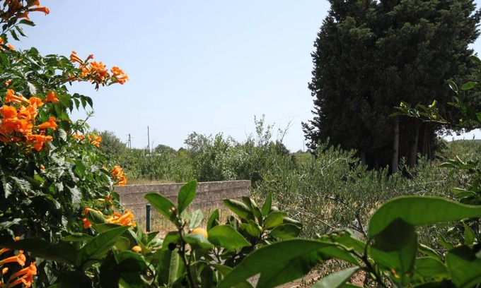 Susica Apartment | 17 m² Studio flat ∙ 1 bedroom ∙ 2 guests