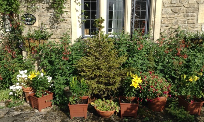 Bradford-on-Avon Bed & Breakfast | 189 April Cottage