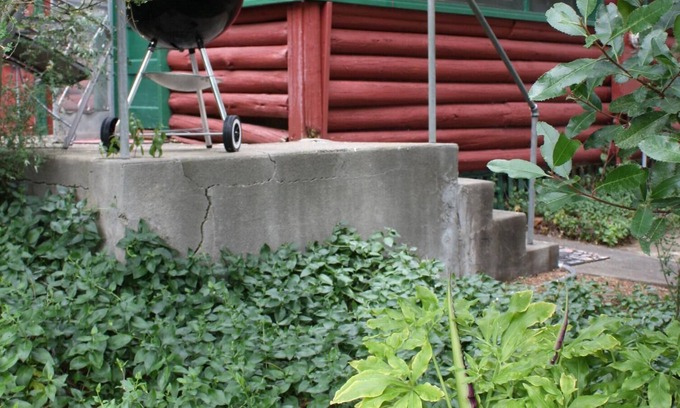 Clearlake Cabin | 1930's Rustic Studio Cabin on a Private Estate, Sleeps 2