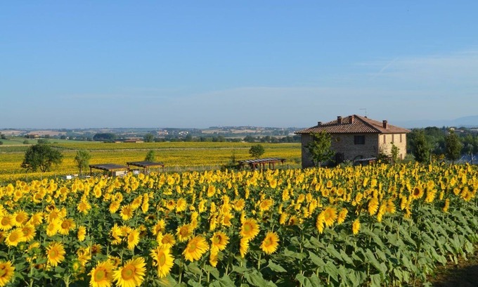 Panicale Apartment | 19th century stone villa with private pool and garden/6 sleeps/pet friendly