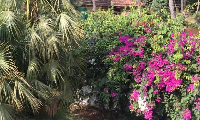 Betalbatim Apartment | 1BHK Luxury Homestay In Betalbatim South Goa 1km from the Beach