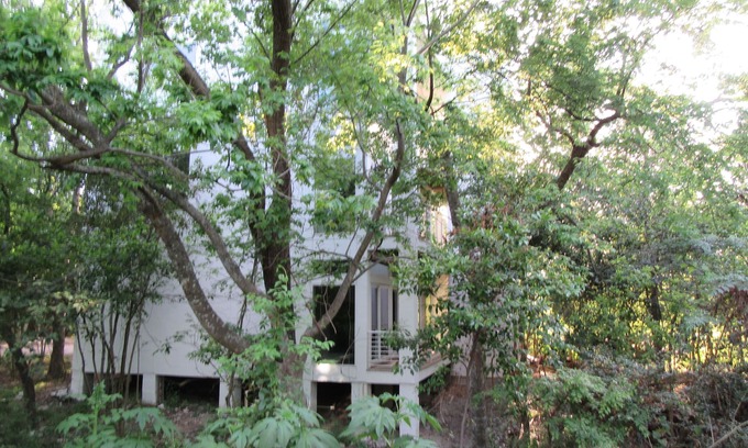 Washington Ave./ Memorial Park Apartment | 1st Flr Apt in Native Woods, Next to Bayou Trails, Washington St/Heights Area