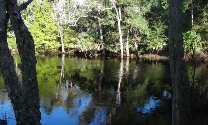 Steinhatchee Cabin | 2/1 Riverfront! Cabin-Fireplaces-Balcony-Nature-Fishing-Gulf of Mexico