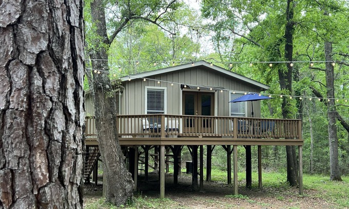 Montgomery Cabin | 2 BDRM Treehouse Hideaway- Lake Conroe | Boat ramp