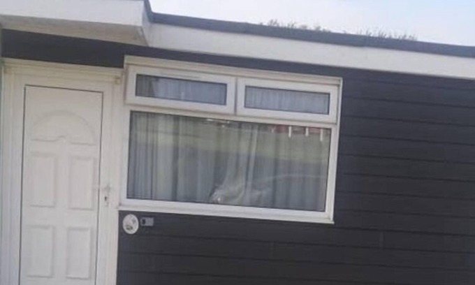 Sandown Ski Chalet | 2 Bedroom Chalet near the Beach