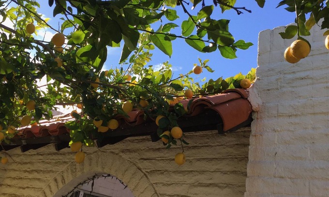 Casas Adobes Condo | 2 Bedroom Tucson Condo rental in over 55 community