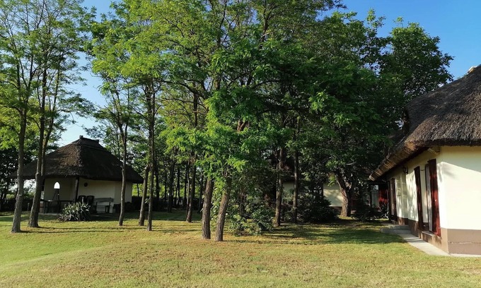 Orgovany House | 2 houses in the heart of nature with private pool