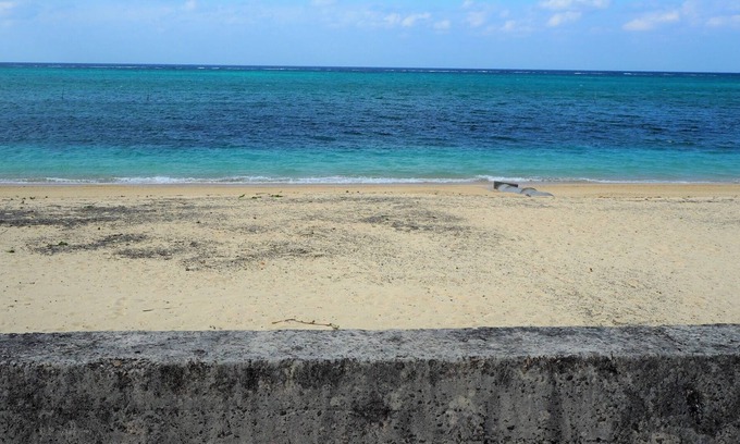 Maeganeku Apartment | 2 minutes walk to Moon Beach which was also ch - Moon House Room 101 / Kunigami-gun Okinawa