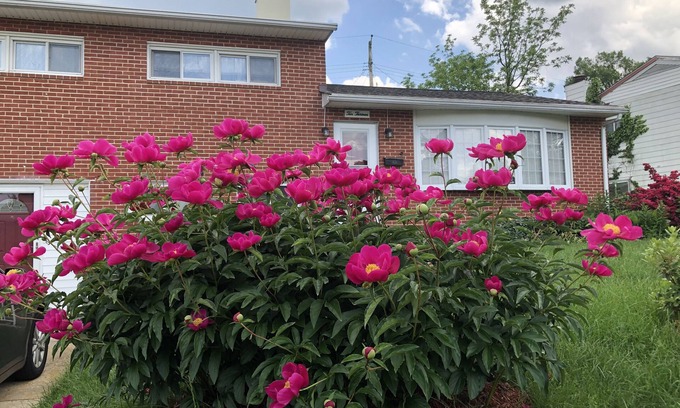 Catonsville House | 20% discount-Baltimore& DC Metro area