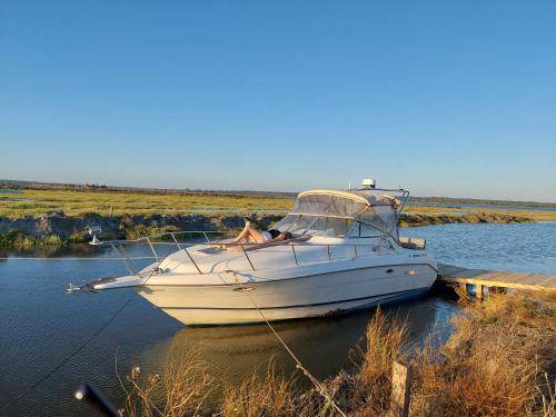 Gambia-Pontes-Alto da Guerra Boat Rental | 20 m² Houseboat ∙ 1 bedroom ∙ 3 guests