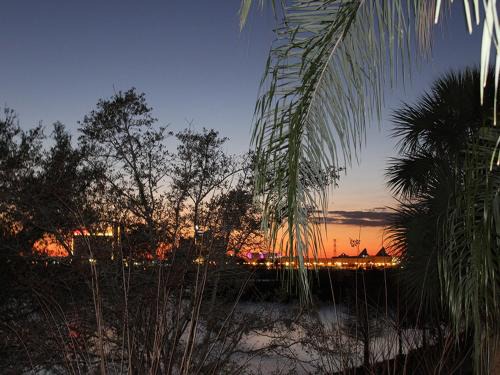 Florida Central Atlantic Coast House | 210 Disney Universal Convention Center