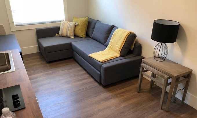 Downtown San Jose Apartment | 212-Trendy 1 Bedroom Apt in Downtown San Jose City