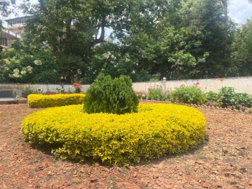 Coonoor Apartment | 3 BHK Private Villa