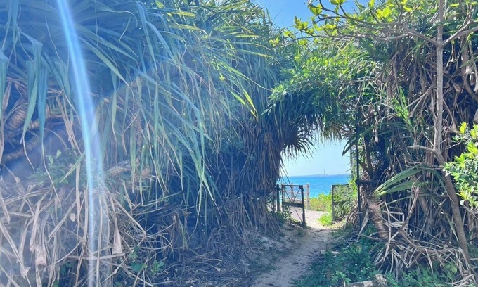 Kin House | 30 sec walk to the sea15 min drive to the resort/Kunigamigun Okinawa