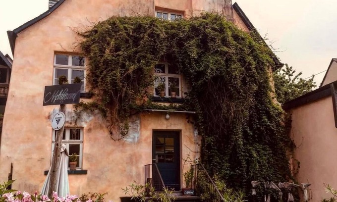 Reil Other | 300 Jahre altes Ferienhaus am Bio-Weingut an der Mosel