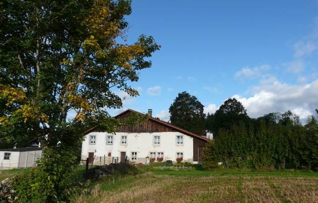 Le Bemont Apartment | 36 m² Apartment ∙ 1 bedroom ∙ 4 guests