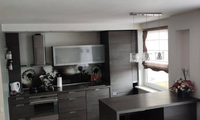 Panevezys Apartment | 38 m² Apartment ∙ 1 bedroom ∙ 4 guests