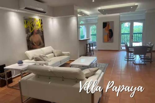 Cerro Gordo Apartment | 3BR - Villa Papaya at North Coast Village