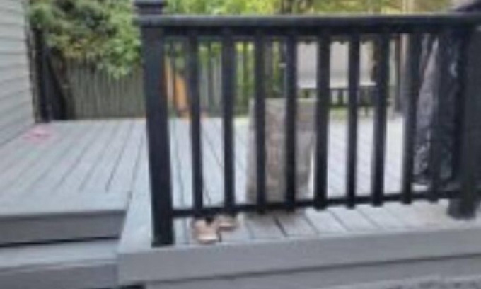 Southeast Edmonton House | 4 Level split 15min from the Airport, 5Min from the train station .