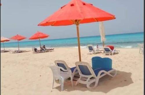Marina El Alamein Apartment | 40 m² Apartment ∙ 1 bedroom ∙ 3 guests