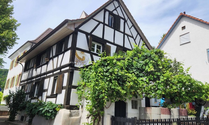 Grenzach-Wyhlen Apartment | 400-year-old half-timbered house in the village center by the village well