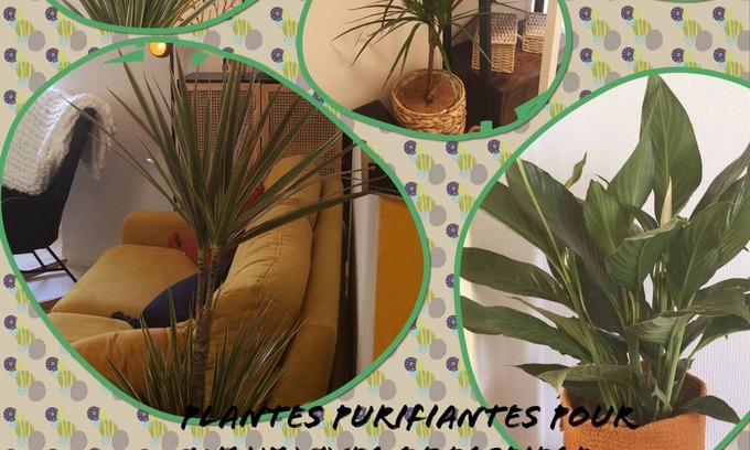 Sainte-Savine Apartment | 42 m² Apartment ∙ 1 bedroom ∙ 5 guests