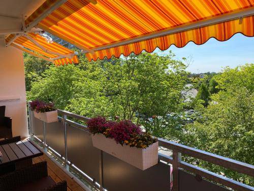 Sankt Augustin Apartment | 45 m² Apartment ∙ 1 bedroom ∙ 4 guests