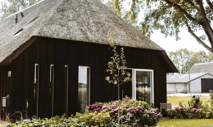 Uffelte House | 49 m² House ∙ 1 bedroom ∙ 2 guests