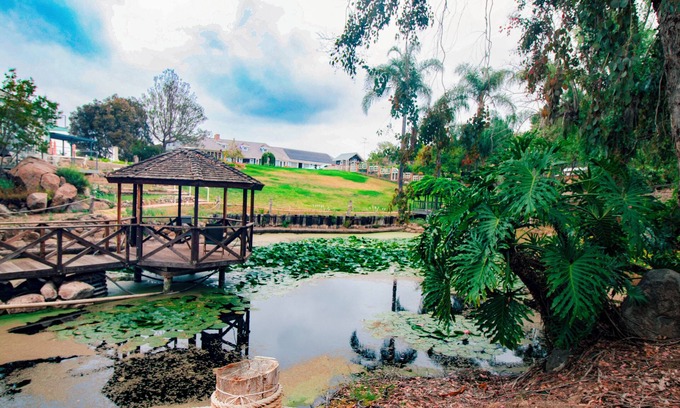 Bonsall House | 5-Acre Enchanted Estate: Pool, Animals, & Views