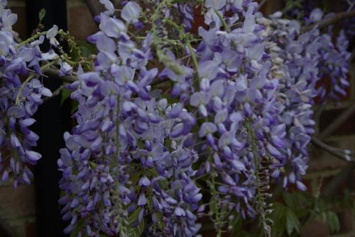 Charlton Bed & Breakfast | 5 Charlton Mill Way B&B