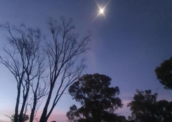 Stockinbingal Other | 5 Star Off Grid Farm Retreat
