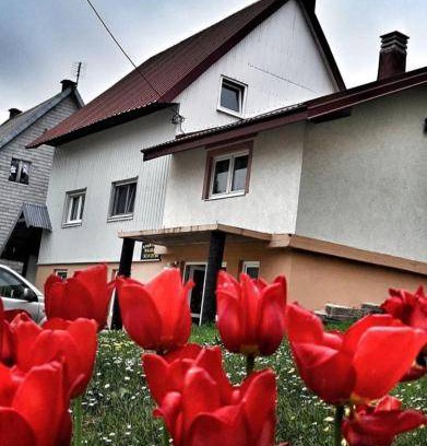 Zabljak Apartment | 50 m² Apartment ∙ 2 bedrooms ∙ 5 guests