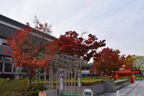 Sakyo Ward House | 50 m² House ∙ 1 bedroom ∙ 4 guests