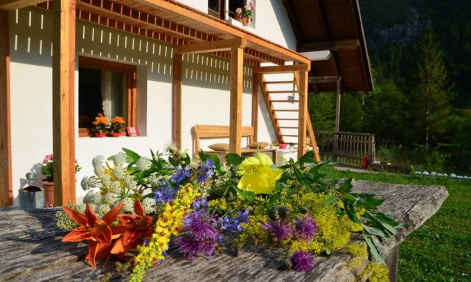 Soca Apartment | 54 m² Apartment ∙ 1 bedroom ∙ 4 guests
