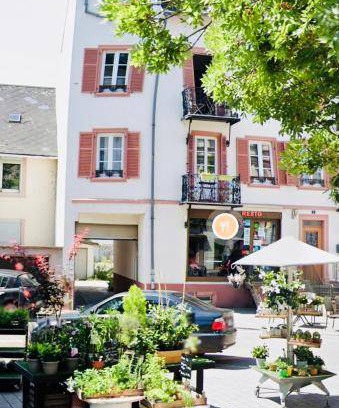 Neudorf Ouest Apartment | 57 m² Apartment ∙ 2 bedrooms ∙ 6 guests