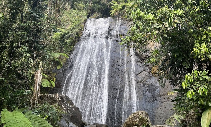 Zarzal Bed & Breakfast | 5mins from Beach & El Yunque Tropical Rainforest Tranquil room w/private entry!
