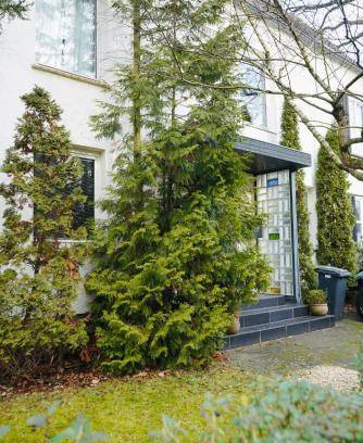 Stadtmitte Apartment | 60 m² Apartment ∙ 1 bedroom ∙ 3 guests
