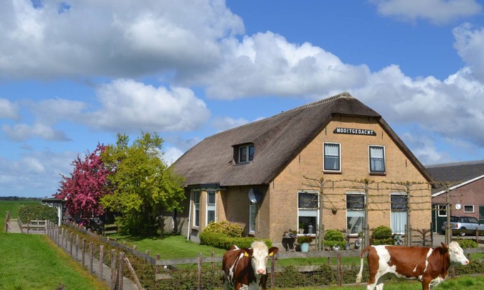 Gelderswoude Apartment | 65 m² Apartment ∙ 2 bedrooms ∙ 5 guests