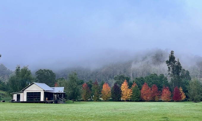 Wollombi Other | 7 minutes from Wollombi town, 5 acre property with cozy house and separate barn.