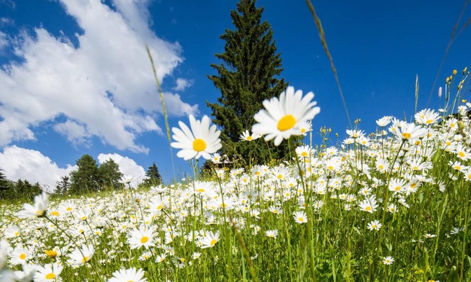 Selva di Val Gardena Apartment | 76 m² Apartment ∙ 2 bedrooms ∙ 4 guests