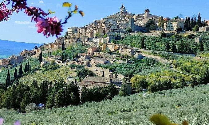 Trevi Apartment | 79s Apt in the Historic center Trevi (Perugia) 50 mt to Bars & Restaurants WiFi