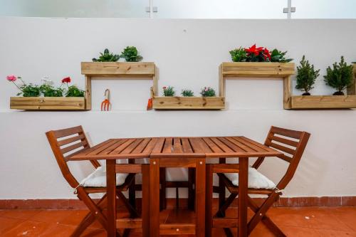 Sao Jose Apartment | 7ti7 Telhal apartment with a lovely Backyard