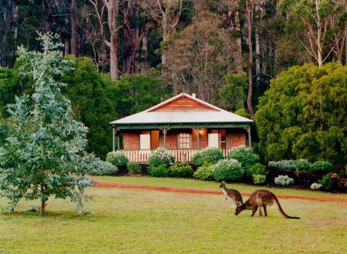 Beedelup Cabin | 85 m² Lodge ∙ 3 bedrooms ∙ 6 guests
