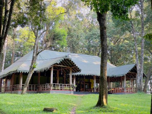 Lakkidi Resort | 900 Woods Wayanad Eco Resort - A Sprawling Jungle Stay near Glass Bridge